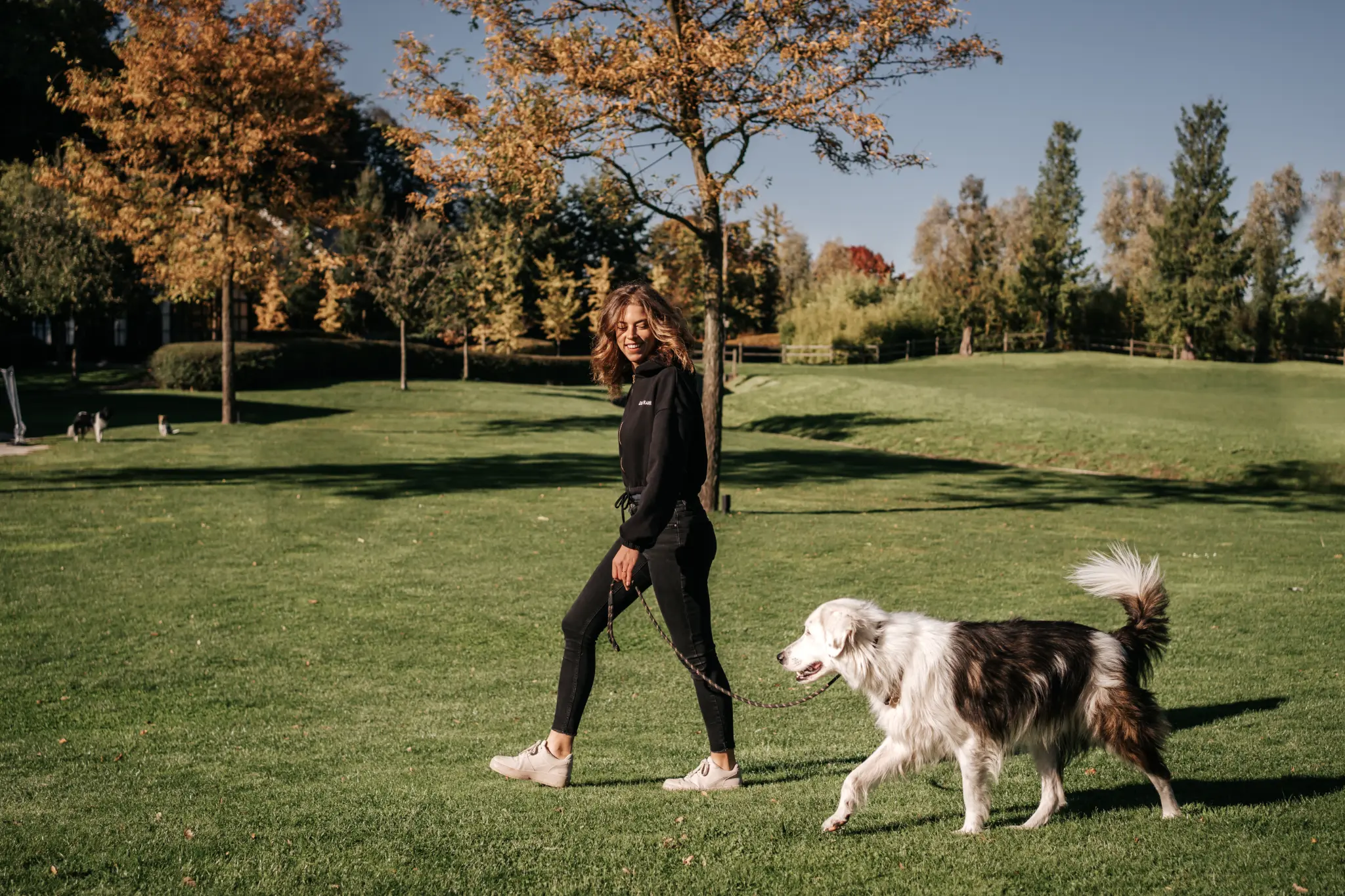 Central Bark training