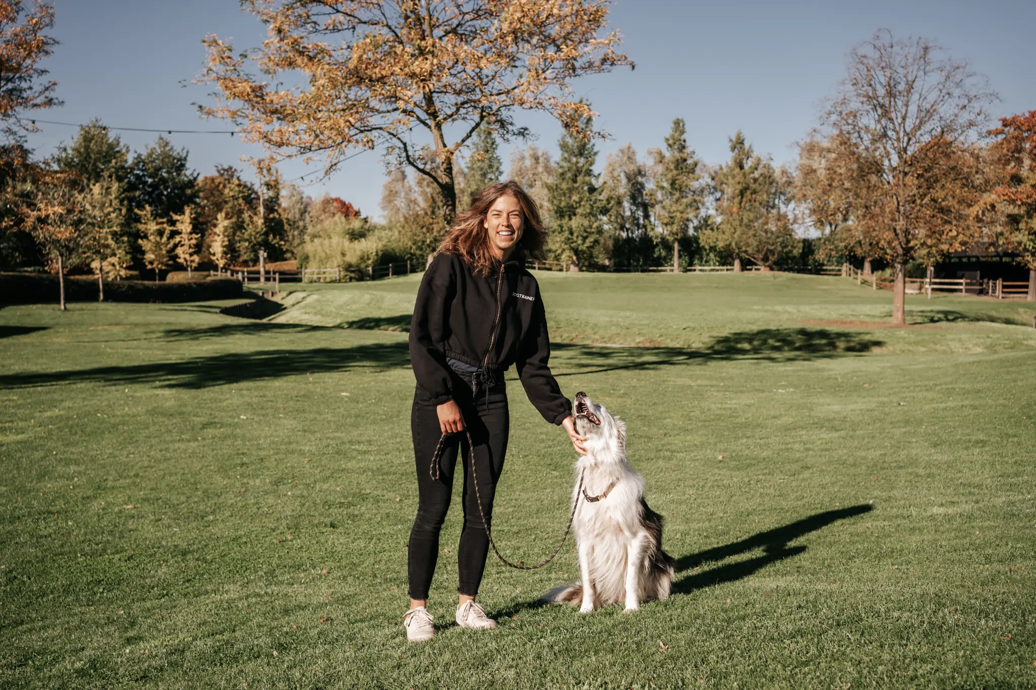 Central Bark training