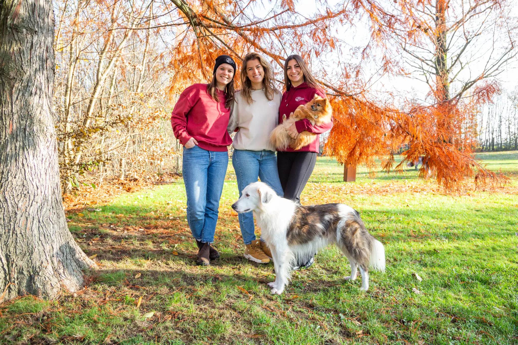 Central Bark training